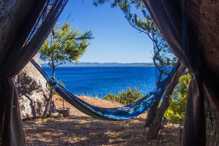 Maybe the big Reset is actually a Rewild&nbsp;🏝️